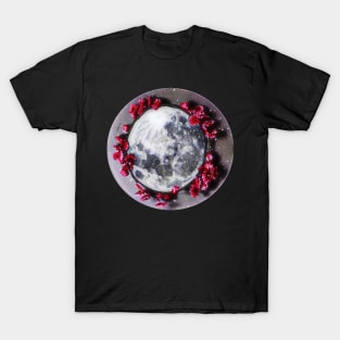 StellaLuna T-Shirt